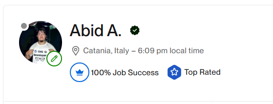 Abid Ali - 100% Job Success Score and Top Rated on Upwork